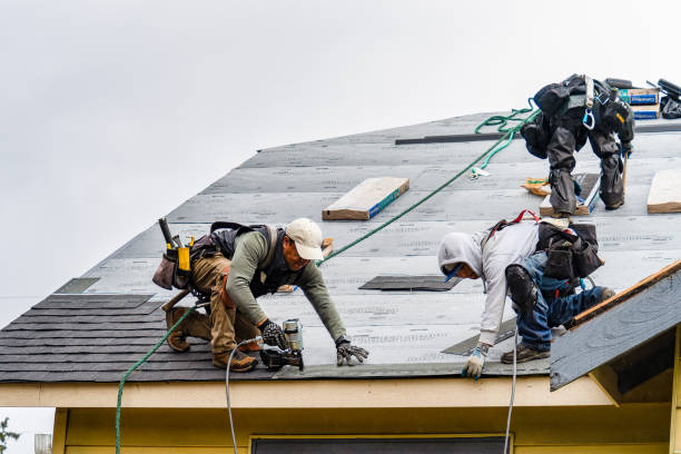 Professional Roofing technician working in Gilberts, IL